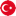 Türkçe